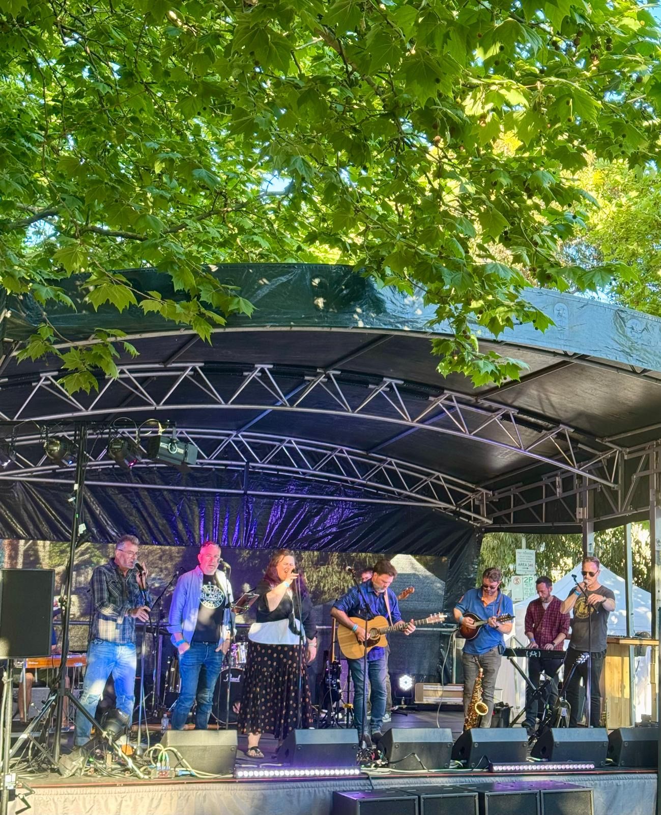 The Black Curtains Live Performance - Photo 4